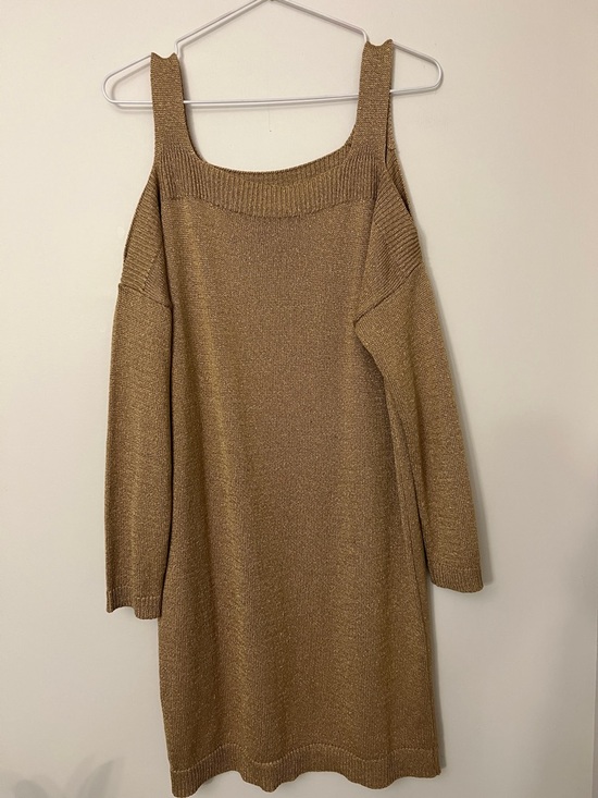 Massimo Dutti Dresses & Skirts - Massimo Dutti Gold Bronze Cold Shoulder Jumper
